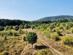 Eladó mezogazdasagi ingatlanSzentendre