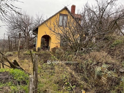 Eladó Ház, Szekszárd - Szekszárd, Tolna - Nyaralók, üdülők