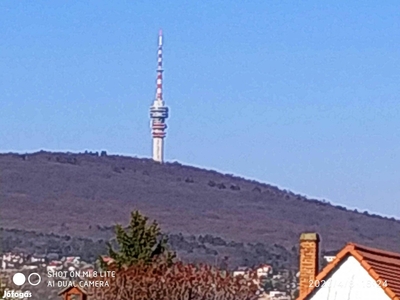 Építési telek, szőlő - Pécs, Baranya - Szőlőskert-pince