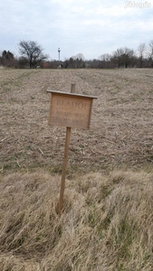 Építési telek Toponáron - Kaposvár, Orci, Zselickislak, Somogy - Telek, föld