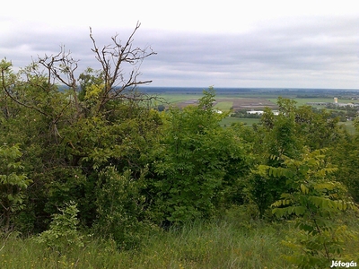 Eladó telek Szekszárd - Szekszárd, Tolna - Telek, föld