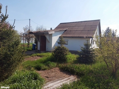 Kertes ház Biczó István kertben - Debrecen, Hajdú-Bihar - Ház