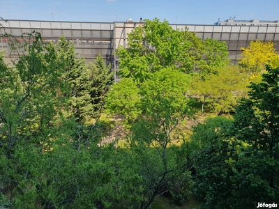 Örs vezér térnél eladó 2 szobás, tehermentes öröklakás - X. kerület, Budapest - Lakás