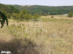 Eladó telek Domony, Lázár Lovastanya szomszédsága