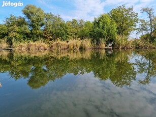 Gyomaendrődön közvetlen vízparti nyaraló eladó