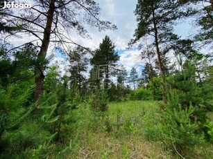 Eladó telek Kecskemét, Fenyves lakópark