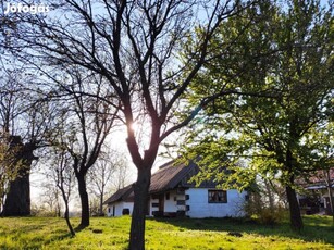 Nagypáliban Eladó Zártkerti ingatlan kemencével és 3 pincével