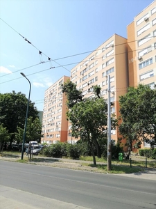 Eladó jó állapotú panel lakás - Budapest XIV. kerület