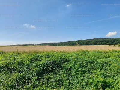 Eladó lakóövezeti telek - Isaszeg, Ady Endre utca