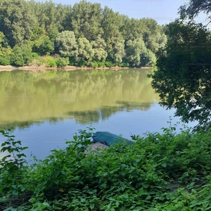 Eladó üdülőövezeti telek - Tiszapüspöki, Tisza út