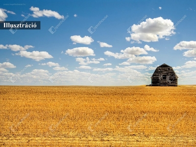 Mezőkövesd, ingatlan, telek, 28.000.000 Ft