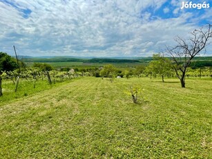 Balatonszőlősön zártkert eladó!