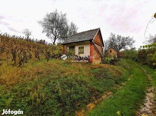 Eladó mezőgazdasági, Villány