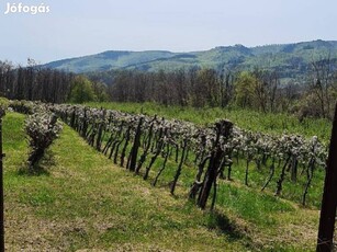 Lesencefaluban, zártkerti telek eladó