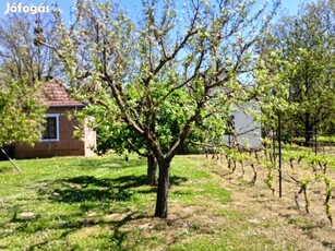 Szőlő- és fenyőbirtok Berzencén