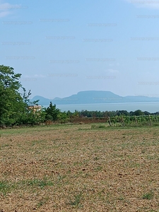 Eladó külterületi telek - Balatonberény, Somogy megye