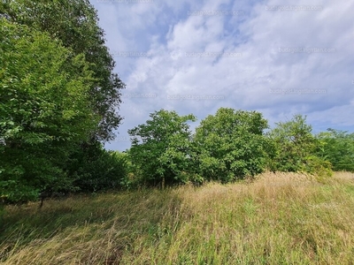 Eladó lakóövezeti telek - Maglód, Krisztinatelep