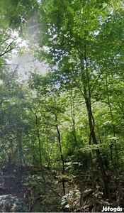 Eladó Pereces Jónás hegyen egy 2187 m2 telek. A telken víz, villany va - Miskolc, Borsod-Abaúj-Zemplén - Telek, föld