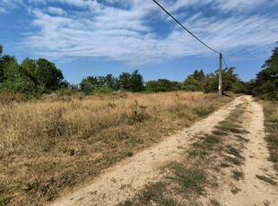 Eladó mezogazdasagi ingatlan Tiszapüspöki