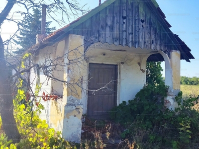 Eladó családi ház - Csongrád, Csongrád-Csanád megye