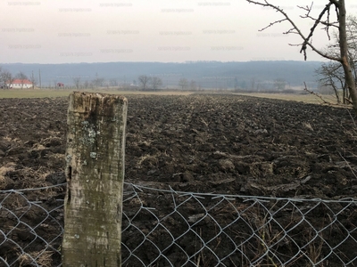 Eladó egyéb telek - Nagykinizs, Fő utca