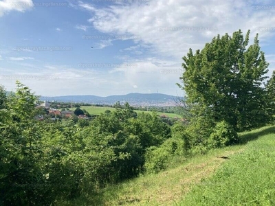 Eladó lakóövezeti telek - Pécs, Nagypostavölgy alsó