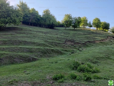 Eladó lakóövezeti telek - Sirok, Petőfi út