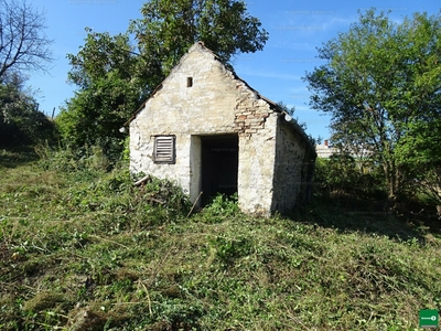 Eladó pince, présház - Tapolca, Szent György-hegy