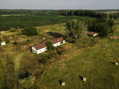 Eladó tanya - Ruzsa, Csongrád-Csanád megye