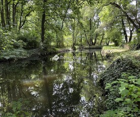 Eladó átlagos állapotú ház - Vácegres