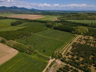 Eladó mezogazdasagi ingatlan Nógrád, Külterület