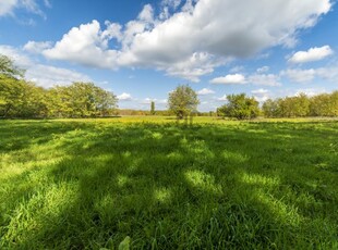 Eladó mezogazdasagi ingatlan Tápióbicske, Kossuth dűlő