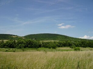 Eladó mezogazdasagi ingatlanBudakeszi