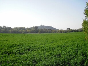 Eladó telek Esztergom, Dorogi út