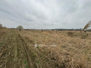 Eladó telek Kisköre