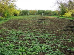 Eladó telek Pusztaszabolcs, Akácfa utca