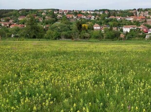 Eladó telekBerkenye