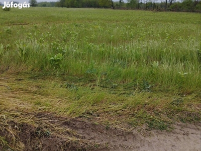 Bő 1.5 ha föld eladó vagy bérbeadó.