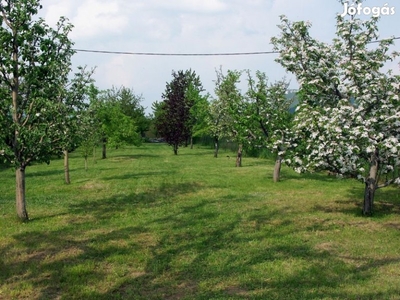 Eladó nyaraló, Pilisvörösvár, 25 m2