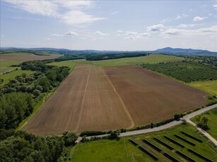 Eladó erdő - Nógrád