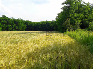 Eladó termőföld, szántó - Kerepes