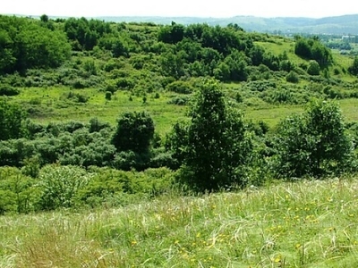 Eladó egyéb telek - Makó, Rákos