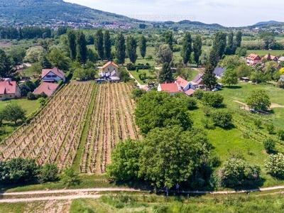 Eladó lakóövezeti telek - Badacsonytomaj, Badacsonyörs