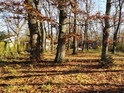 Eladó lakóövezeti telek - Kővágóörs, Pálköve