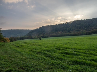 Eladó telek - Tarján