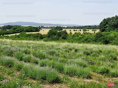 Eladó termőföld, szántó - Barnag, Veszprém megye