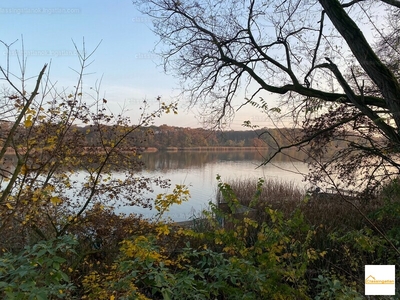 Eladó üdülőövezeti telek - Tököl, Parkerdő