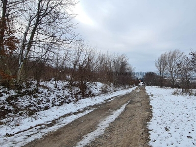 Padragkút, Ajka, ingatlan, telek, 5.900.000 Ft