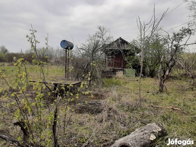 Eladó Csongrád-Öregszőlő Zártkert 3250 m2 rajta épület!