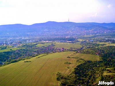 Panorámás ház Pécsett eladó!!!